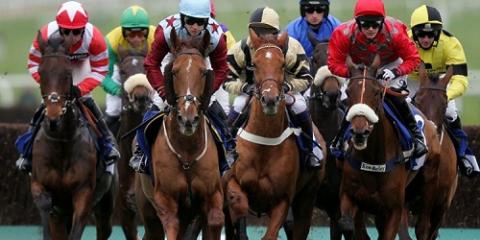 IPPICA E SOCIETA’ DI CORSE, LA DENUNCIA DEI SINDACATI SLC CGIL, FISASCAT CISL E UILCOM: «DECRETO DEL MIPAAF CLAMOROSO ARRETRAMENTO SERVIZI IPPODROMI E SALVAGUARDIA OCCUPAZIONE, NECESSARIA E NON PIU’ RINVIABILE RIFORMA DEL SETTORE»